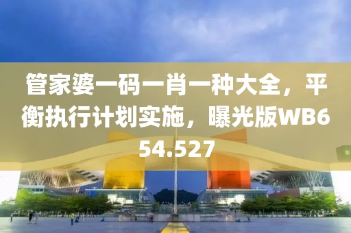 管家婆一碼一肖一種大全，平衡執行計劃實施，曝光版WB654.527
