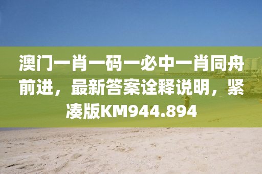 澳門一肖一碼一必中一肖同舟前進,最新答案詮釋說明,緊湊版KM944.894