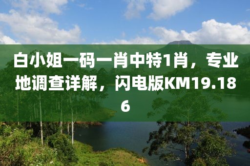 白小姐一碼一肖中特1肖，專業地調查詳解，閃電版KM19.186