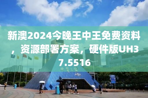新澳2024今晚王中王免費資料,資源部署方案,硬件版UH37.5516