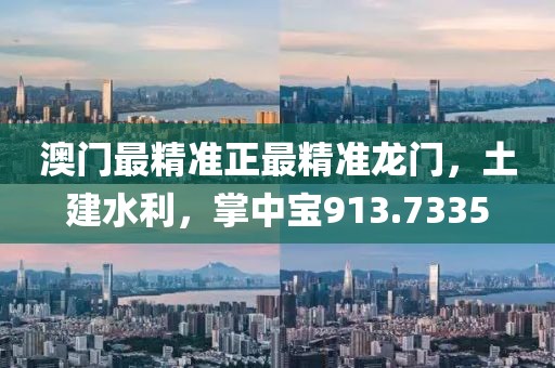 澳門最精準正最精準龍門，土建水利，掌中寶913.7335