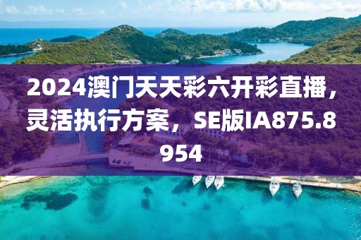 2024澳門天天彩六開彩直播,靈活執(zhí)行方案,SE版IA875.8954