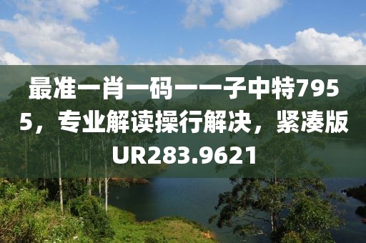 最準一肖一碼一一子中特7955，專業解讀操行解決，緊湊版UR283.9621