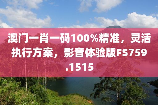 澳門一肖一碼100%精準，靈活執行方案，影音體驗版FS759.1515