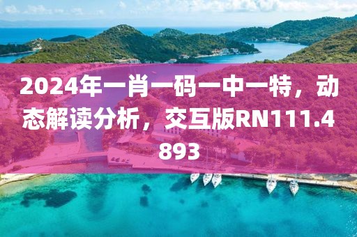 2024年一肖一碼一中一特，動(dòng)態(tài)解讀分析，交互版RN111.4893
