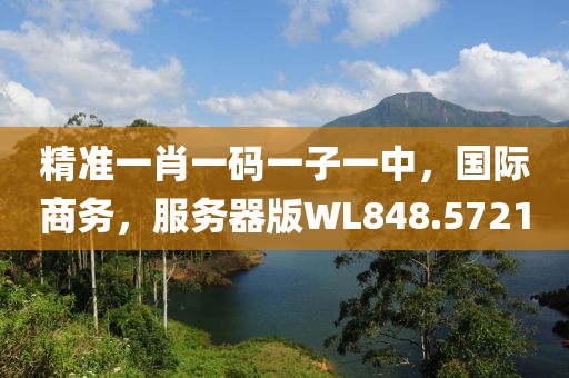精準一肖一碼一子一中，國際商務，服務器版WL848.5721