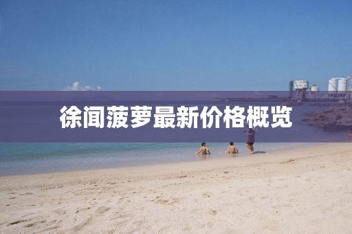 徐聞菠蘿最新價格概覽