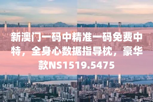 新澳門一碼中精準一碼免費中特，全身心數據指導枕，豪華款NS1519.5475
