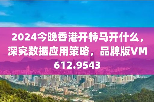 2024今晚香港開特馬開什么，深究數(shù)據(jù)應(yīng)用策略，品牌版VM612.9543