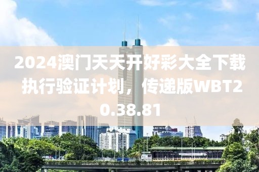 2024澳門天天開好彩大全下載 執行驗證計劃，傳遞版WBT20.38.81
