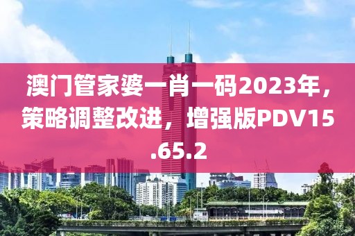 澳門管家婆一肖一碼2023年，策略調整改進，增強版PDV15.65.2