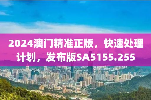 2024澳門(mén)精準(zhǔn)正版,快速處理計(jì)劃,發(fā)布版SA5155.255