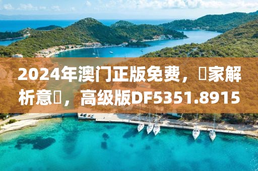 2024年澳門正版免費，專家解析意見，高級版DF5351.8915