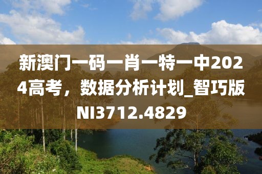 新澳門一碼一肖一特一中2024高考,數據分析計劃_智巧版NI3712.4829