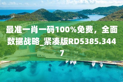 最準一肖一碼100%免費，全面數據戰略_緊湊版RD5385.3447