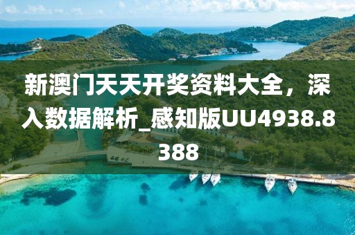 新澳門天天開獎資料大全,深入數據解析_感知版UU4938.8388