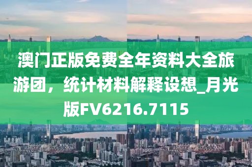 澳門正版免費全年資料大全旅游團，統計材料解釋設想_月光版FV6216.7115