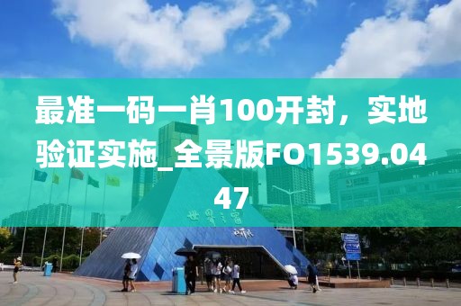 最準一碼一肖100開封,實地驗證實施_全景版FO1539.0447
