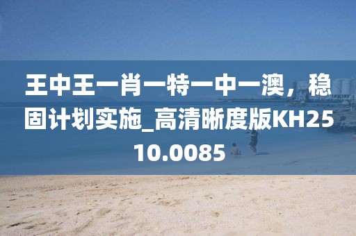 王中王一肖一特一中一澳,穩固計劃實施_高清晰度版KH2510.0085