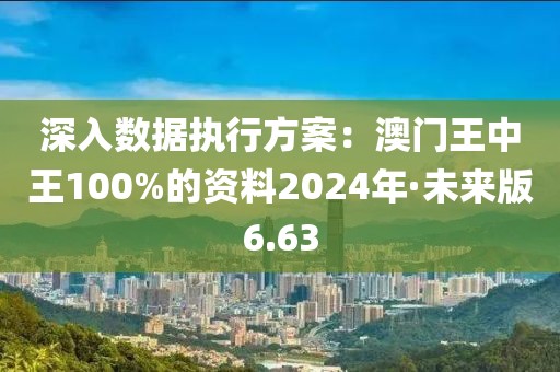深入數(shù)據(jù)執(zhí)行方案:澳門王中王100%的資料2024年·未來版6.63