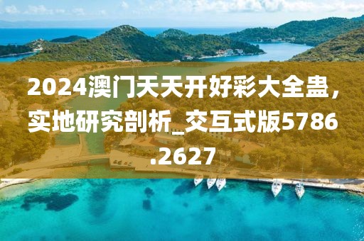 2024澳門天天開好彩大全蠱，實地研究剖析_交互式版5786.2627