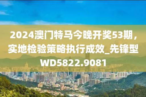 2024澳門特馬今晚開獎53期，實地檢驗策略執行成效_先鋒型WD5822.9081
