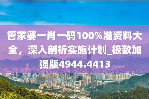 管家婆一肖一碼100%準資料大全,深入剖析實施計劃_極致加強版4944.4413