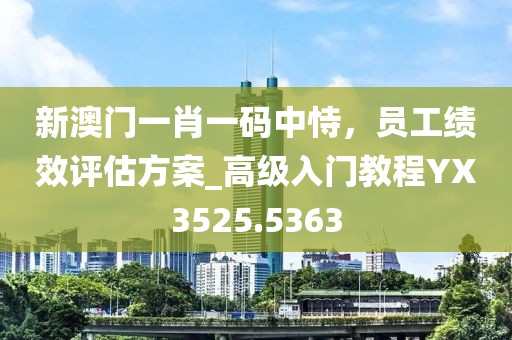 新澳門一肖一碼中恃，員工績效評估方案_高級入門教程YX3525.5363