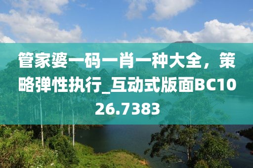 管家婆一碼一肖一種大全，策略彈性執行_互動式版面BC1026.7383