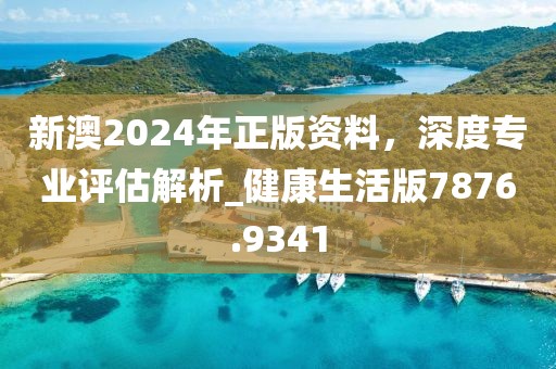 新澳2024年正版資料，深度專業評估解析_健康生活版7876.9341
