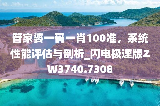 管家婆一碼一肖100準，系統性能評估與剖析_閃電極速版ZW3740.7308