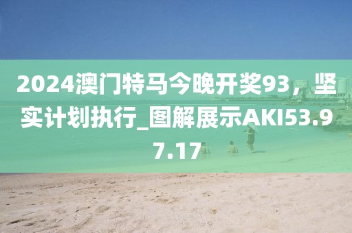 2024澳門特馬今晚開獎93，堅實計劃執行_圖解展示AKI53.97.17