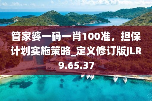 管家婆一碼一肖100準，擔保計劃實施策略_定義修訂版JLR9.65.37