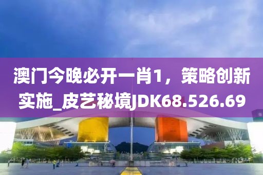 澳門今晚必開一肖1,策略創新實施_皮藝秘境JDK68.526.69