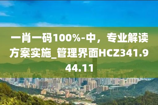 一肖一碼100%-中,專業(yè)解讀方案實(shí)施_管理界面HCZ341.944.11