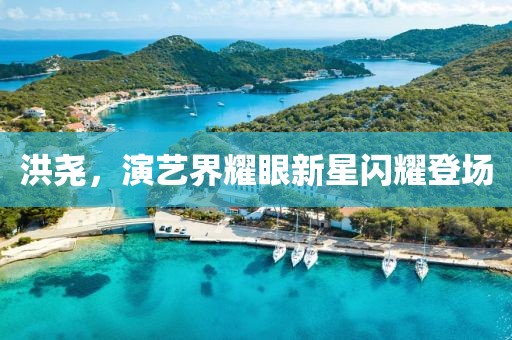 洪堯，演藝界耀眼新星閃耀登場