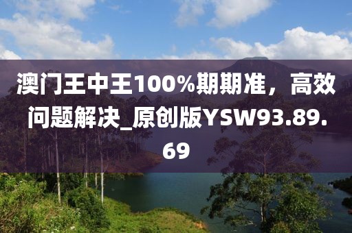 澳門王中王100%期期準，高效問題解決_原創(chuàng)版YSW93.89.69