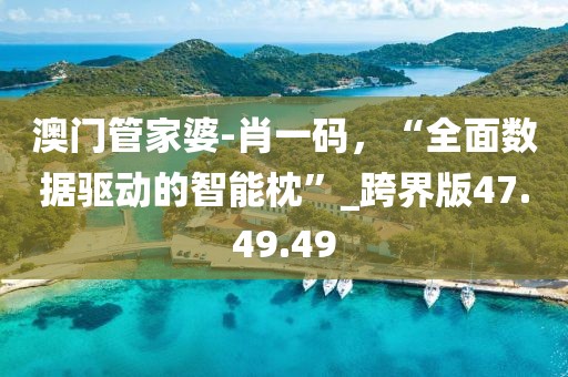 澳門管家婆-肖一碼,“全面數據驅動的智能枕”_跨界版47.49.49