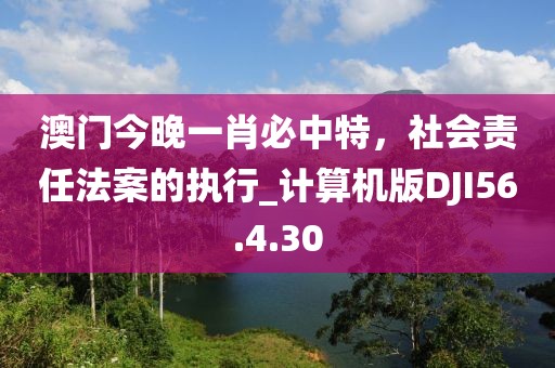 澳門今晚一肖必中特，社會責任法案的執行_計算機版DJI56.4.30