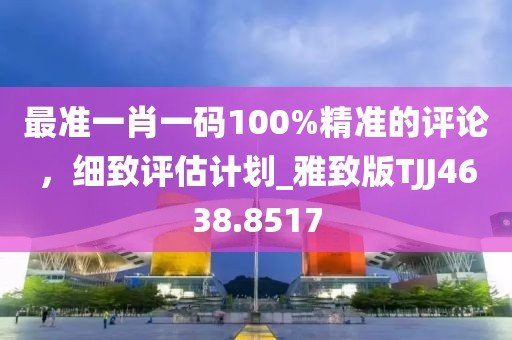 最準(zhǔn)一肖一碼100%精準(zhǔn)的評(píng)論，細(xì)致評(píng)估計(jì)劃_雅致版TJJ4638.8517