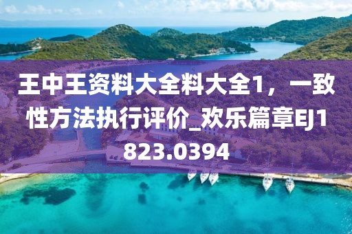 王中王資料大全料大全1，一致性方法執行評價_歡樂篇章EJ1823.0394