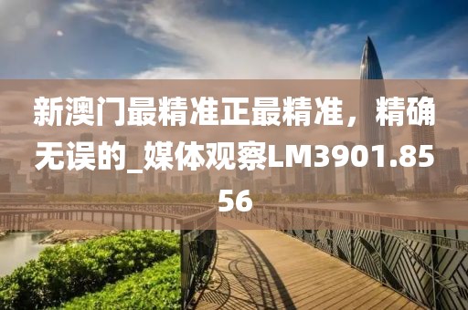 新澳門最精準正最精準，精確無誤的_媒體觀察LM3901.8556