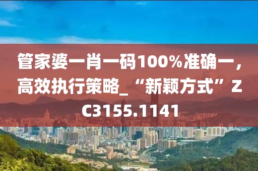 管家婆一肖一碼100%準確一，高效執行策略_“新穎方式”ZC3155.1141