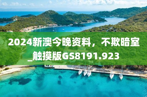 2024新澳今晚資料，不欺暗室_觸摸版GS8191.923
