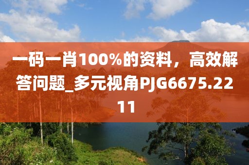 鉮聖灬霸王 第13頁