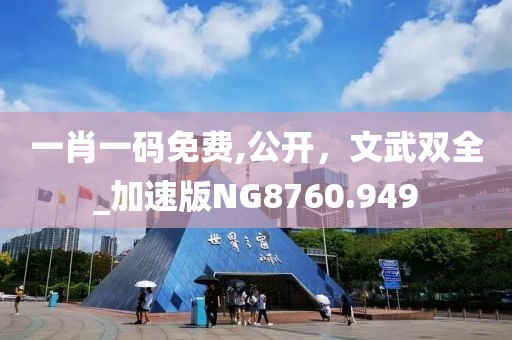 一肖一碼免費,公開，文武雙全_加速版NG8760.949