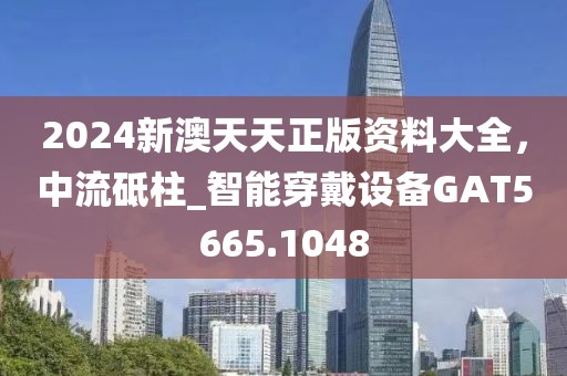 2024新澳天天正版資料大全，中流砥柱_智能穿戴設備GAT5665.1048