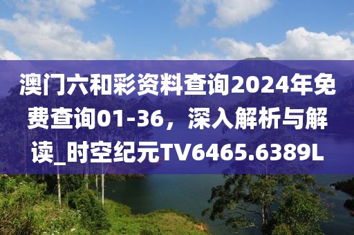澳門六和彩資料查詢2024年免費查詢01-36，深入解析與解讀_時空紀元TV6465.6389L