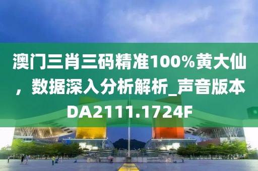 澳門三肖三碼精準100%黃大仙，數據深入分析解析_聲音版本DA2111.1724F