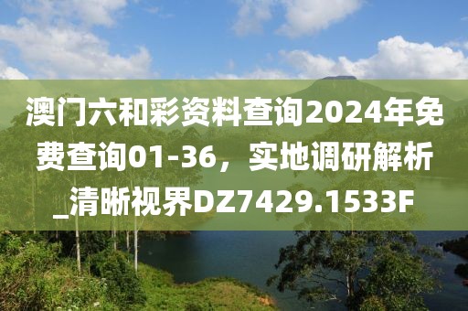 澳門六和彩資料查詢2024年免費查詢01-36,實地調研解析_清晰視界DZ7429.1533F